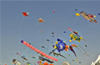 Mangaluru kites fly in Dubai